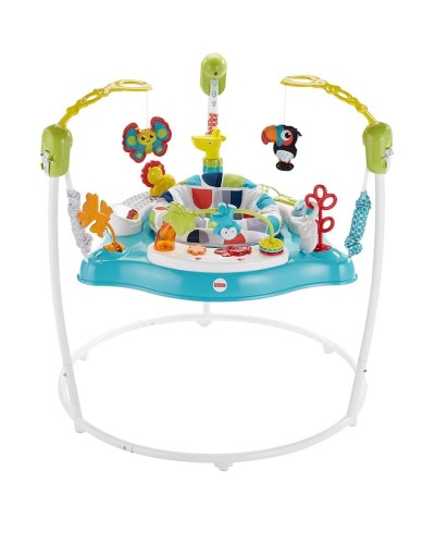 Atlanma qurğusu Fisher-Price Color Climbers Jumperoo