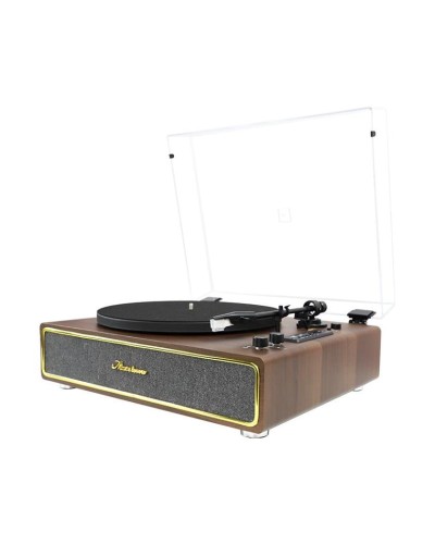 Vinil plastin pleyeri Vintage MusicLovers