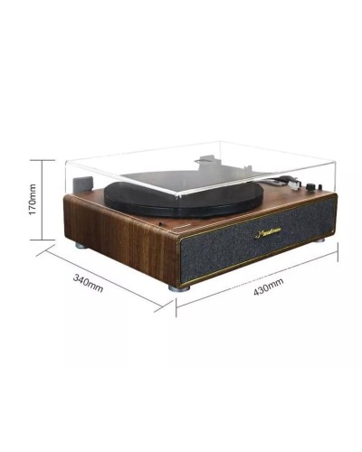 Vinil plastin pleyeri Vintage MusicLovers