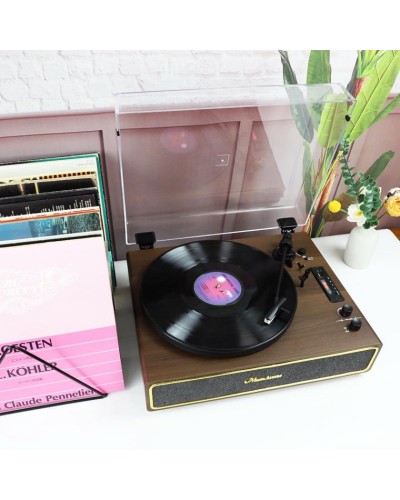 Vinil plastin pleyeri Vintage MusicLovers