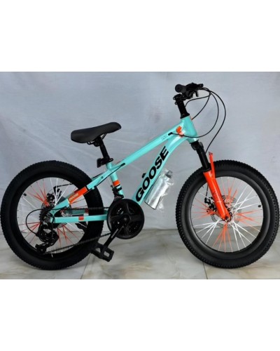 Velosiped Velosipedin 20, 8-11 yaş, Çin istehsalı, 21 sürət, su qabı, 2 təkər - BB-885