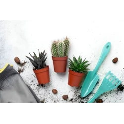 Набор садовых инструментов InGreen, 2 предмета, 21/19 см, бирюзовый Набор садовых инструментов InGreen, 2 предмета, 21/19 см, бирюзовый