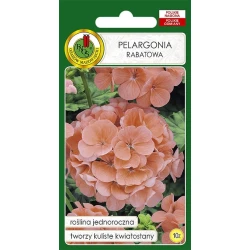 Семена цветов Pnos Pelargonia Rabatowa, 10 шт