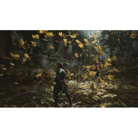 Игра Black Myth: Wukong PS5 Игра Black Myth: Wukong PS5