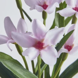 Декоративное растение IKEA Fejka, 6 см, товар в ассортименте