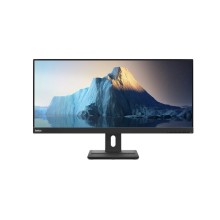 Monitor 29