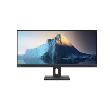 Monitor 29