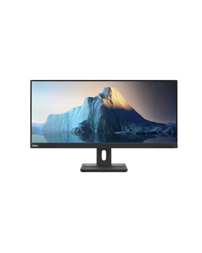 Monitor 29