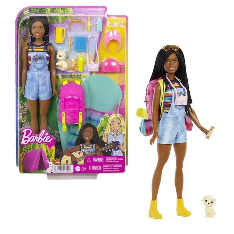 Игровой набор Barbie HDF74 Family Camping Brooklyn Doll