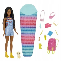 Игровой набор Barbie HDF74 Family Camping Brooklyn Doll