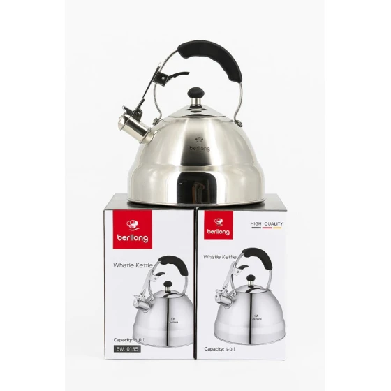 Чайник Berlong 0008, нержавеющая сталь, серебристый, 5 л Чайник Berlong 0008, нержавеющая сталь, серебристый, 5 л