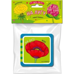 Мини-книжки ЭВА. Что здесь растёт? На лугу, автор Куликова Е.Н.