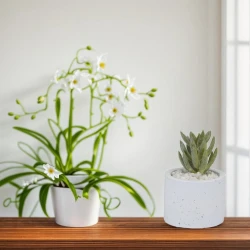 Декоративный цветок Arti Casa, 6.5x9 см, товар в ассортименте