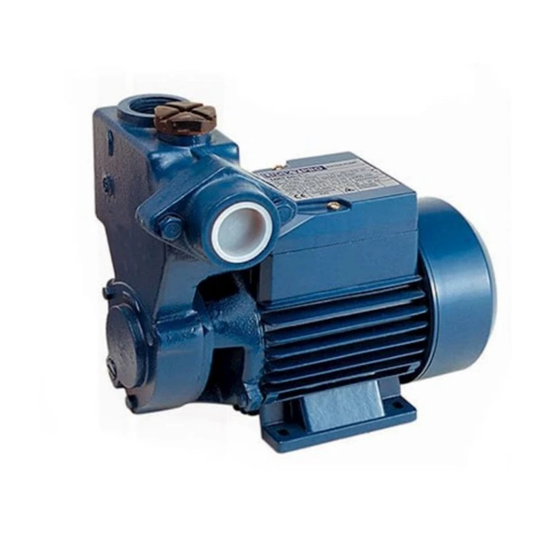 Водяной насос Lucky Pro MKS80-1