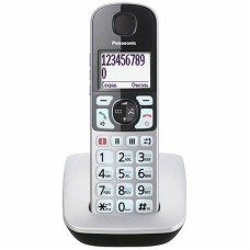 Radiotelefon Panasonic KX-TGE510RUS Silver
