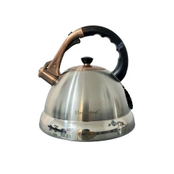 Чайник HausRoland 714-7, 4.5 л, нержавеющая сталь, серебристый/черный Чайник HausRoland 714-7, 4.5 л, нержавеющая сталь, серебристый/черный