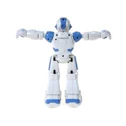 Robot Adar 0457, ağ/göy