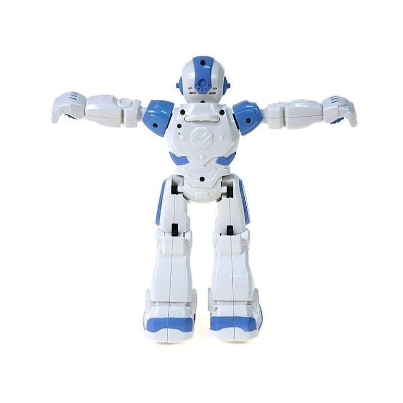 Robot Adar 0457, ağ/göy