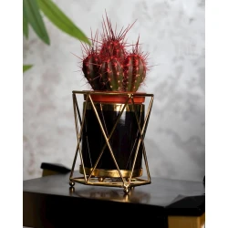 Кактус в горшке, красный/черный, 10x10x21 см Кактус в горшке, красный/черный, 10x10x21 см