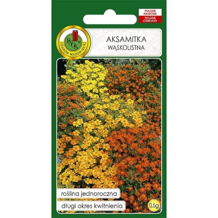 Семена цветов PNOS Aksamitka Waskolistna, 0.5 г