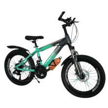 Velosiped VeloStrim V860 RB_210967, 20