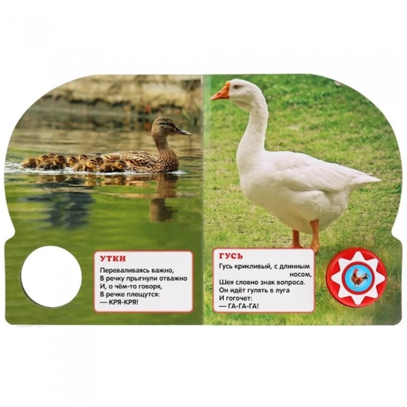 Книга Умка Домашние животные, 1 кнопка, 10 песенок, автор В. Степанов