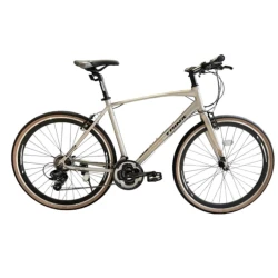 Şəhər velosipedi Trinx Free 1.0, boz/qara