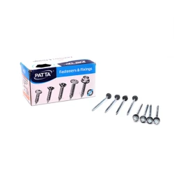 Şurup Patta TM.16234, 4.8х100 mm, 100 əd