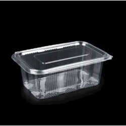 Набор одноразовых контейнеров Loyal 3743577382, полиэтилентерефталат, прозрачный, 25.4х19.3х7 см, 25 шт Набор одноразовых контейнеров Loyal 3743577382, полиэтилентерефталат, прозрачный, 25.4х19.3х7 см, 25 шт