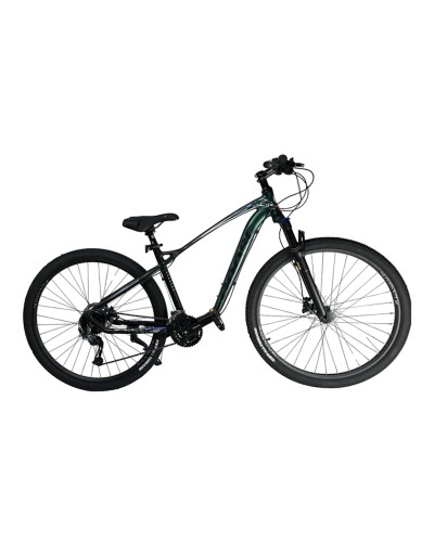 Dağ velosipedi Goose GS20929BC, göy