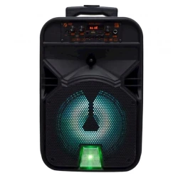 Portativ dinamik KTS KTS-1531