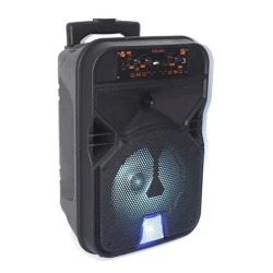 Portativ dinamik KTS KTS-1531