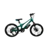 Uşaq velosipedi VeloWS, 20