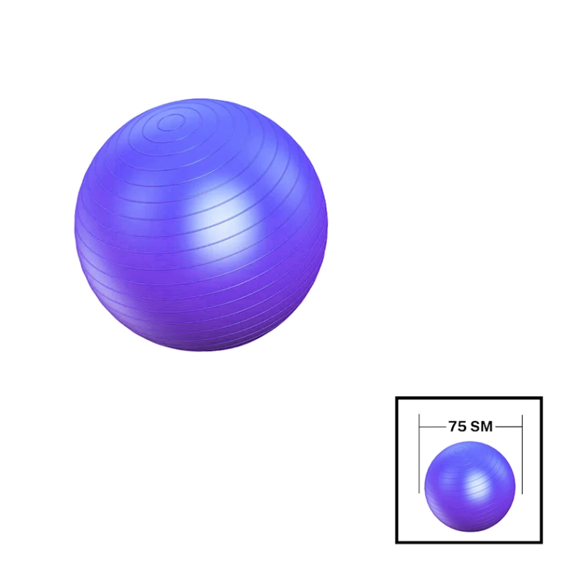 Фитбол Gymnic 202022000050, ПВХ, 75 см, фиолетовый