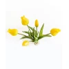 Искусственный букет Hom-me 102972 Тюльпан, 26 см, желтые Искусственный букет Hom-me 102972 Тюльпан, 26 см, желтые