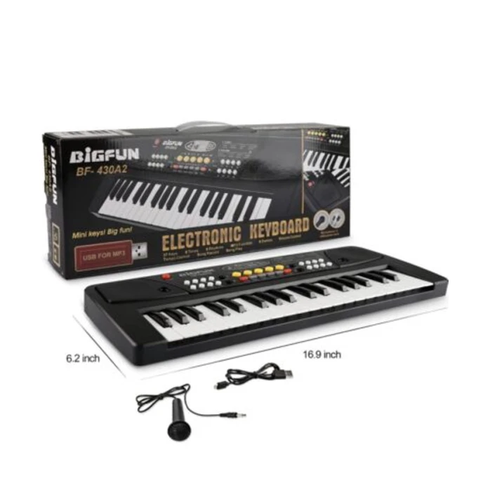 Синтезатор BigFun BF-430A2 FF00215, с микрофоном, черный