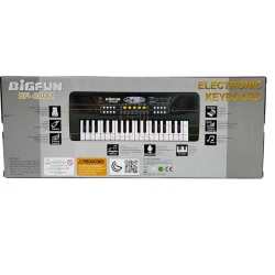 Синтезатор BigFun BF-430A2 FF00215, с микрофоном, черный