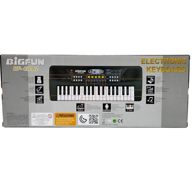 Синтезатор BigFun BF-430A2 FF00215, с микрофоном, черный