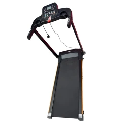 Беговая дорожка Z3