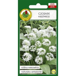 Семена овощей PNOS Чеснок, 0.5 г