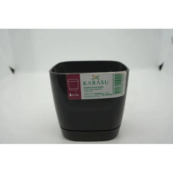 Горшок Karasu Kaktus KRS400, пластик, 250 мл Горшок Karasu Kaktus KRS400, пластик, 250 мл