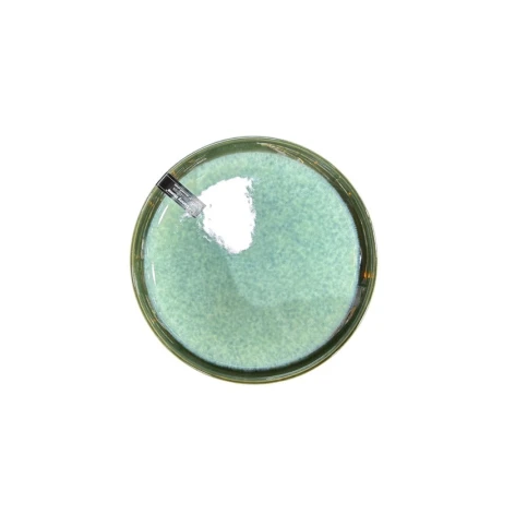 Тарелка обеденная Danny Home SEE330, круглая, зеленая, 20 см Тарелка обеденная Danny Home SEE330, круглая, зеленая, 20 см