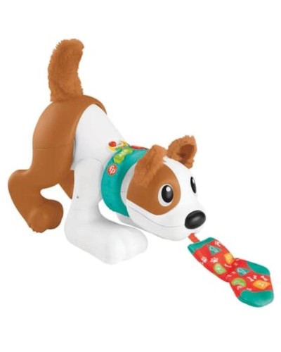 İnteraktiv oyuncaq Fisher-Price Crawl With Me Puppy HHH95, 6+ ay
