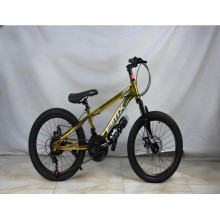 Velosiped, 20