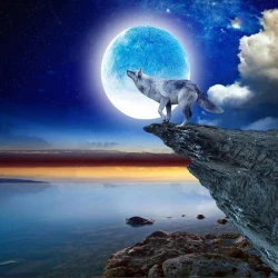 Алмазная мозаика Волк 50х65 см