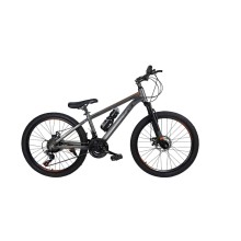 Dağ velosipedi BMX GTR 226, 24