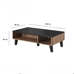 Журнальный столик ev_12116278, ЛДСП, 100x50x40 Журнальный столик ev_12116278, ЛДСП, 100x50x40