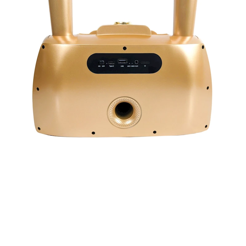 Портативная караоке система с двумя микрофонами ST-2025 Портативная караоке система с двумя микрофонами ST-2025