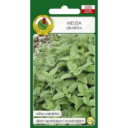 Семена овощей PNOS Melissa Lekarska 0.3 г