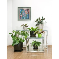 Dibçək Lamela Magnolia 30 sm, plastik, bej (5900119742066)